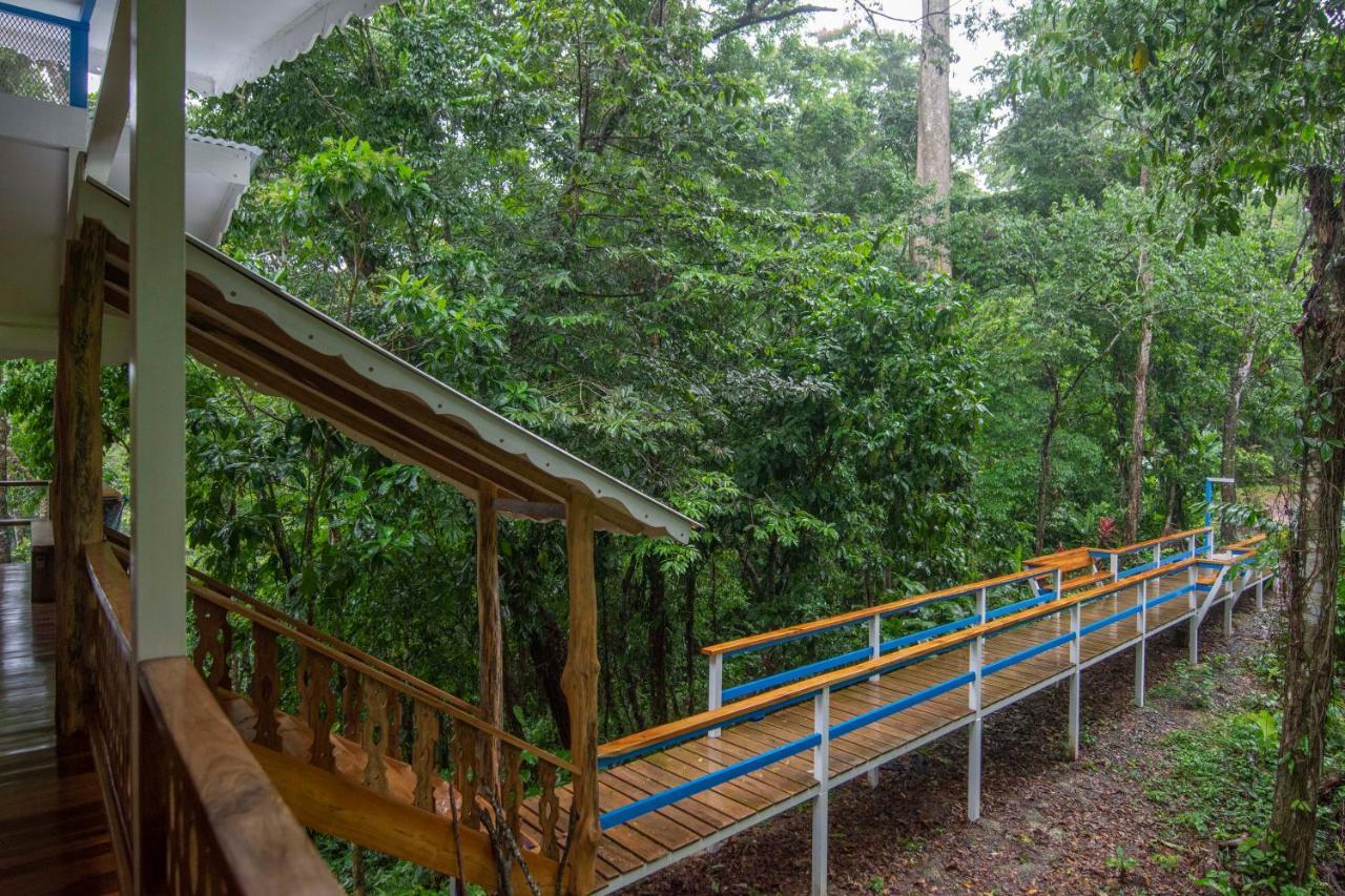 Blue Maverick Retreat - Secluded Nature Escape - 4Wd Access Required Cocles Eksteriør bilde
