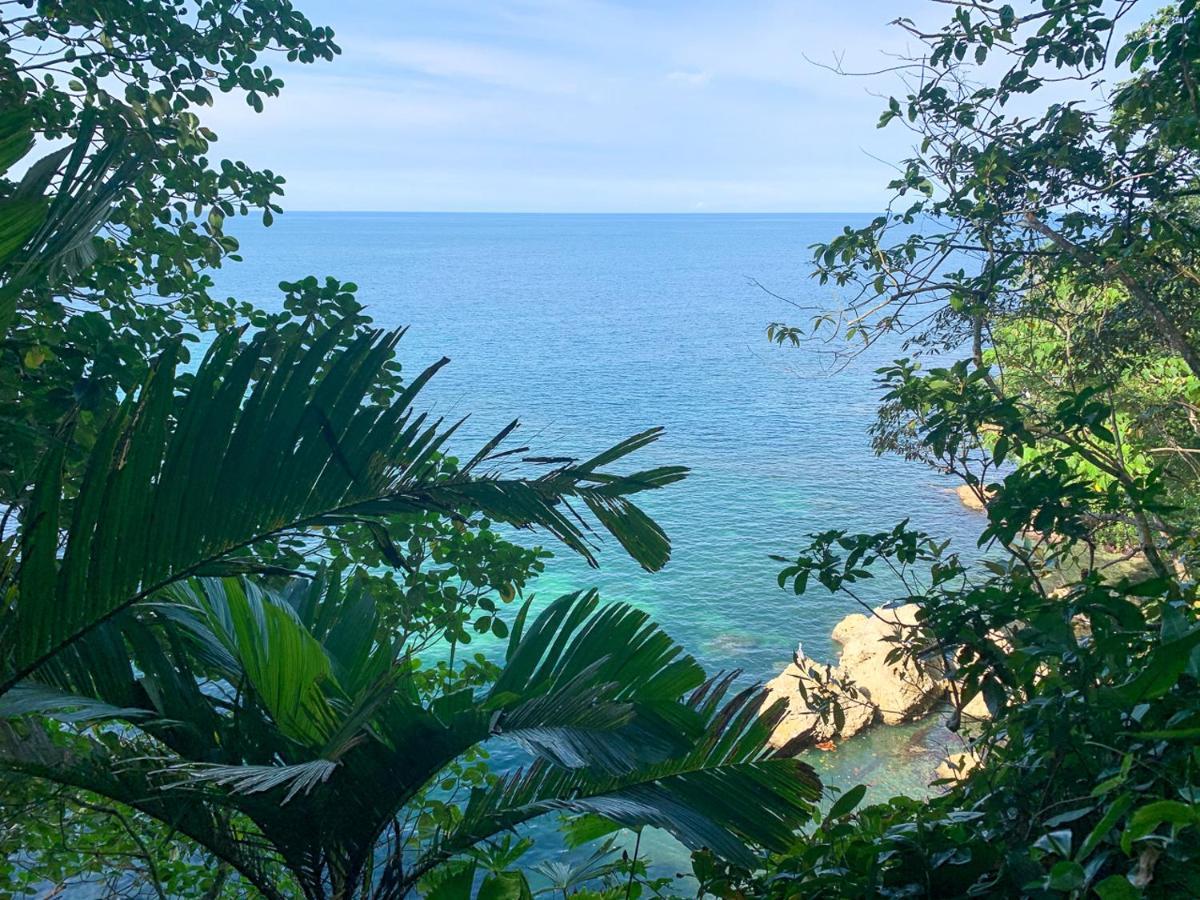 Blue Maverick Retreat - Secluded Nature Escape - 4Wd Access Required Cocles Eksteriør bilde
